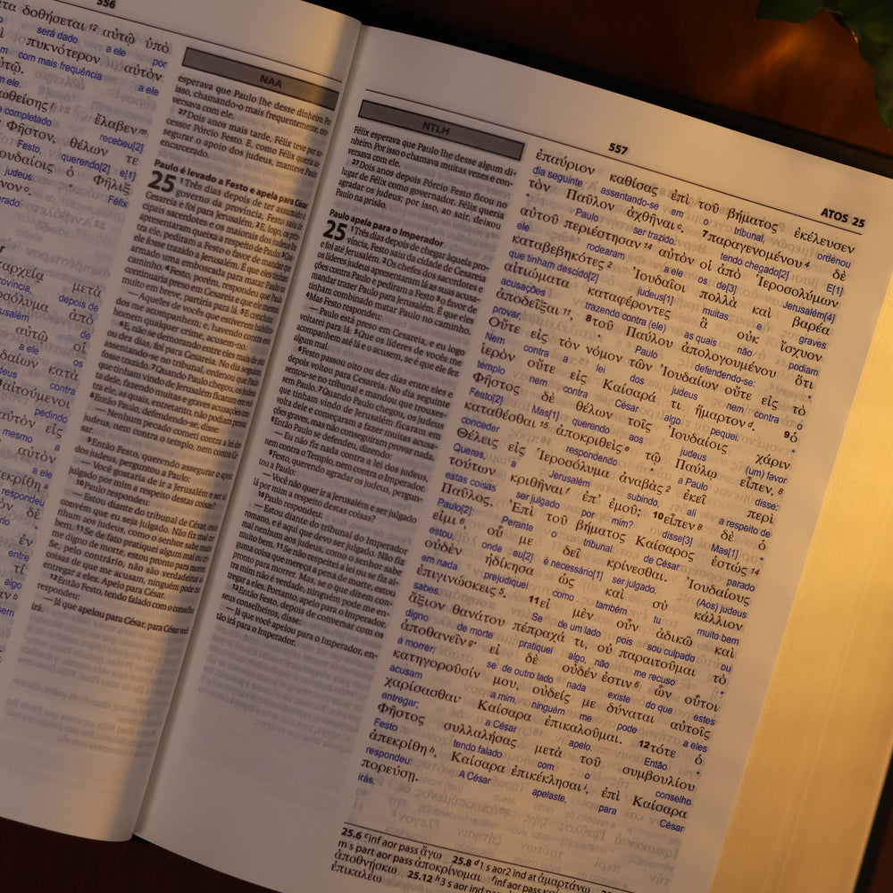 Bíblia Sagrada Interlinear Novo Testamento | Grego-Português