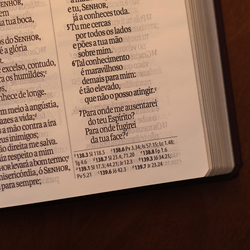Bíblia Sagrada | Letra Supergigante | NAA | Capa Luxo Vinho Folha