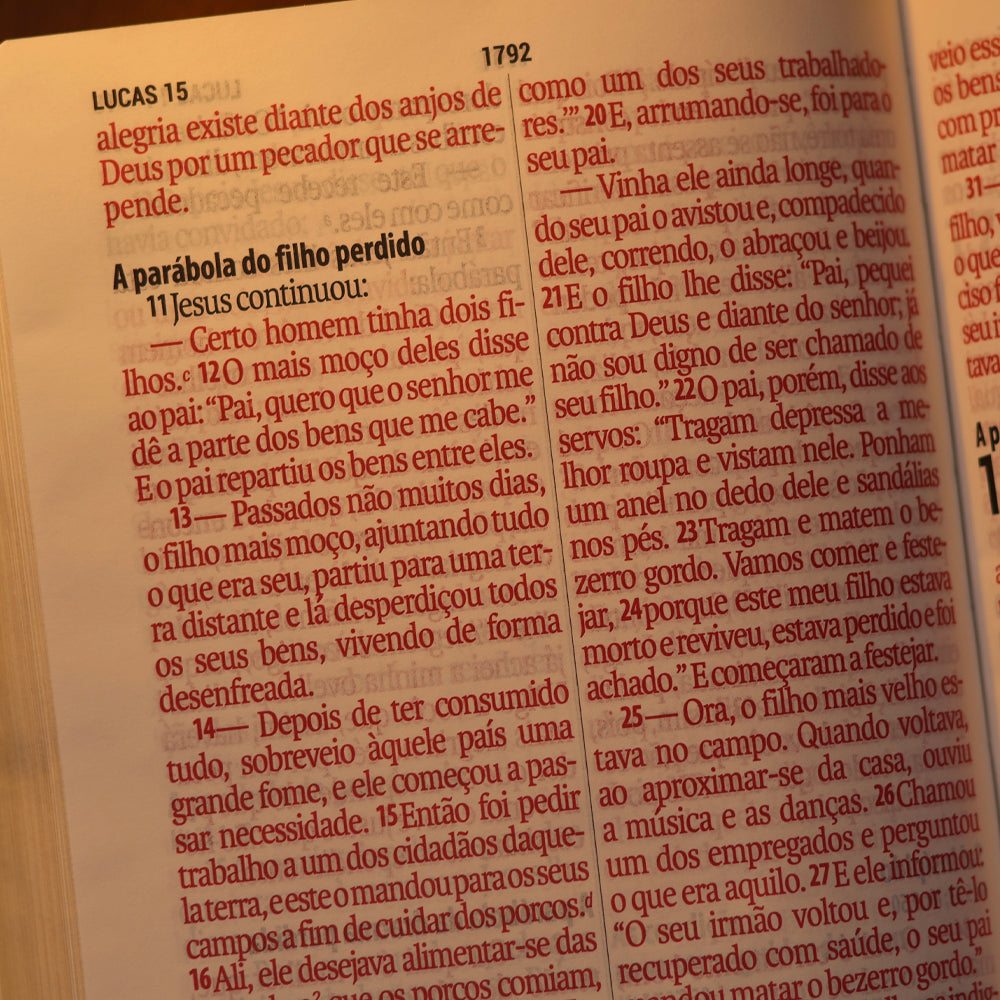 Bíblia Sagrada | Letra Supergigante | NAA | Capa Luxo Vinho Folha