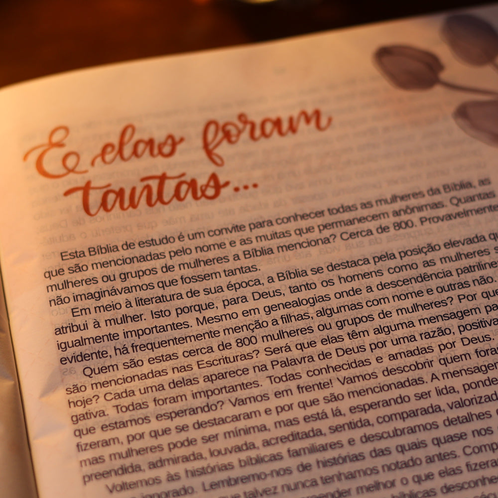 A Bíblia da Mulher | Letra Grande | NAA | Capa Luxo Aston Rosa | Caixa Janela