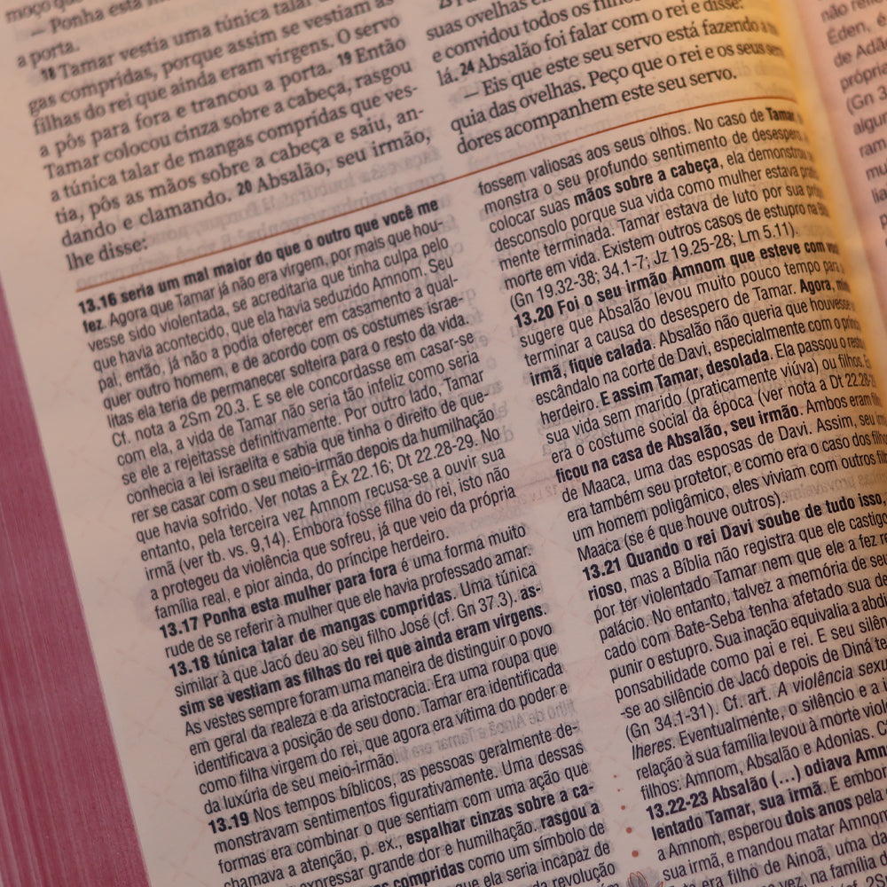 A Bíblia da Mulher | Letra Grande | NAA | Capa Luxo Aston Rosa | Caixa Janela