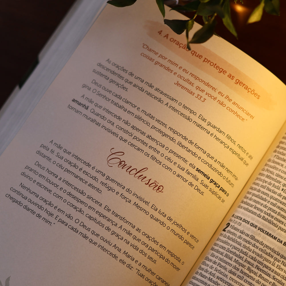 Bíblia Sagrada Ser Mãe | NAA | Letra Grande | Capa Tecido