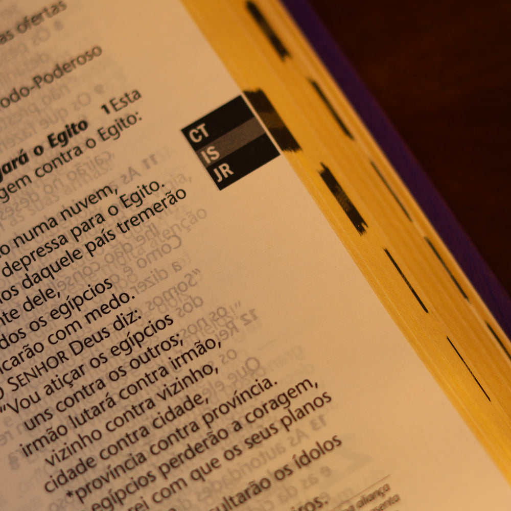 Bíblia Sagrada | NTLH | Letra Grande | Legno Duo Roxo e Lilás