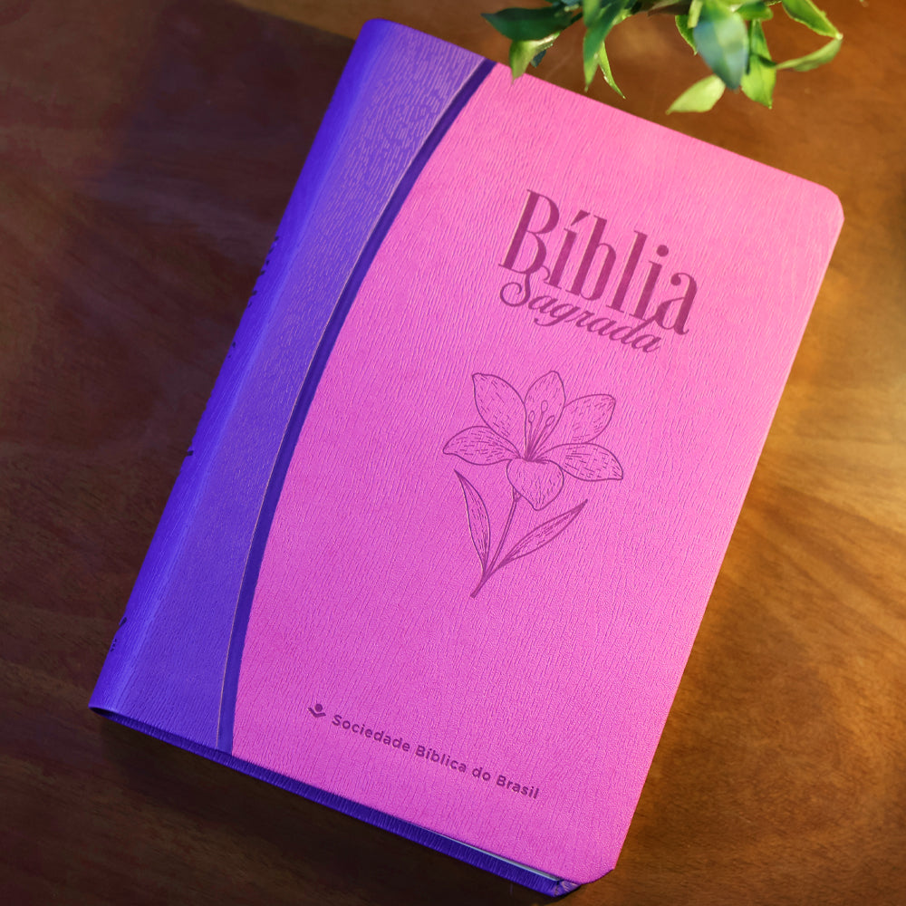 Bíblia Sagrada | NTLH | Letra Grande | Legno Duo Roxo e Lilás