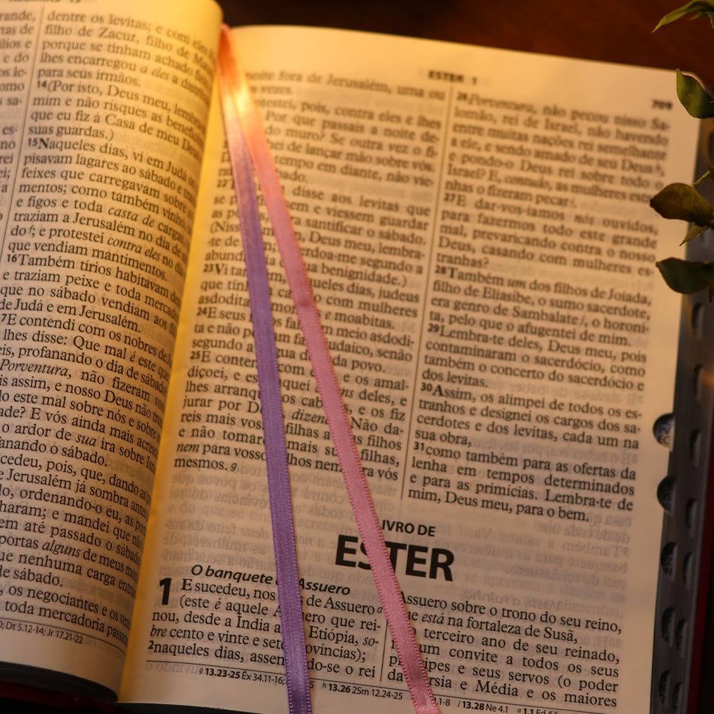 Bíblia Sagrada | ARC | Letra Extragigante | Com Índice | Capa Pink