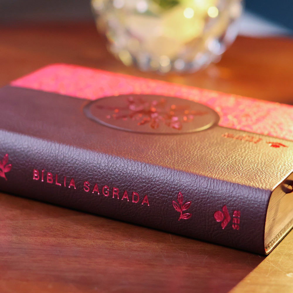 Bíblia Sagrada | ARC | Letra Supergigante |  Capa Aston Vinho e Rosa