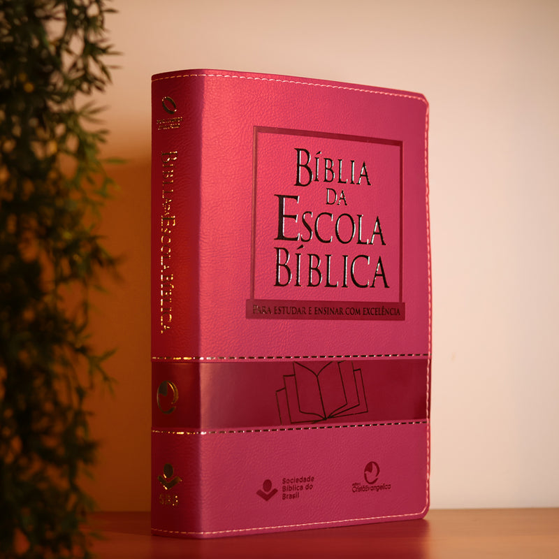Bíblia da Escola Bíblica | NAA | Letra Normal |  Capa Pink