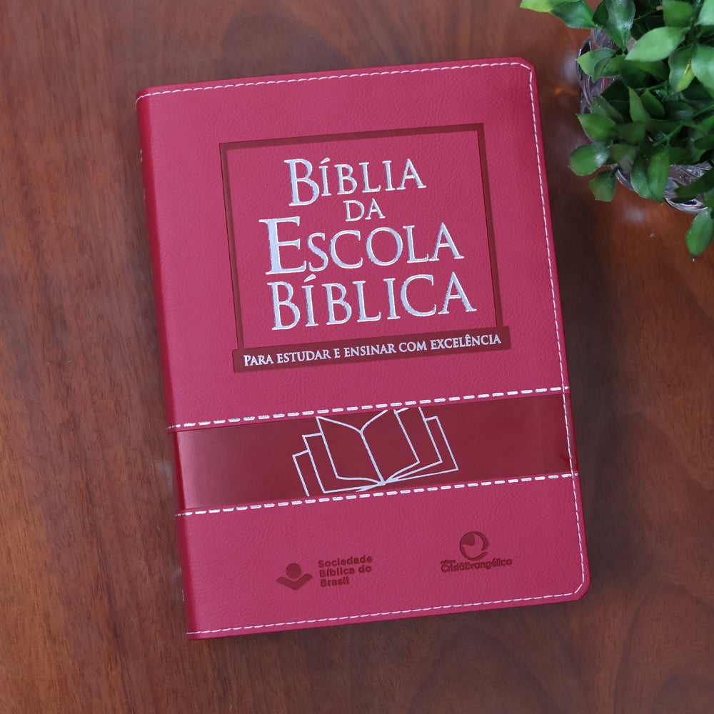 Bíblia da Escola Bíblica | NAA | Letra Normal |  Capa Pink