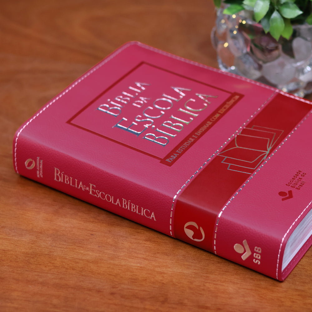 Bíblia da Escola Bíblica | NAA | Letra Normal |  Capa Pink