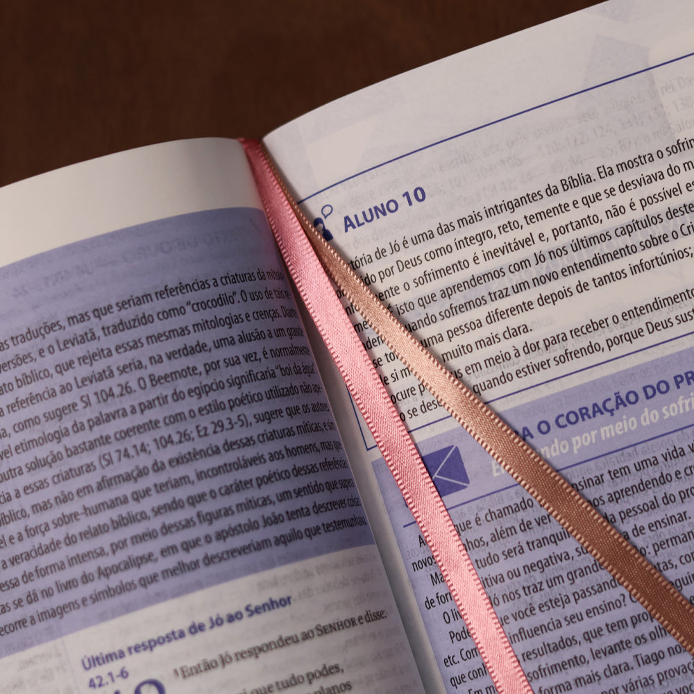 Bíblia da Escola Bíblica | NAA | Letra Normal |  Capa Pink