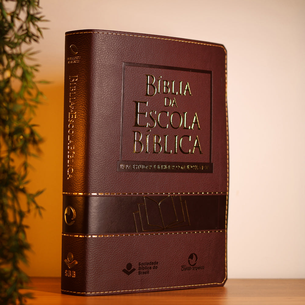 Bíblia da Escola Bíblica | NAA | Letra Normal |  Capa Vinho