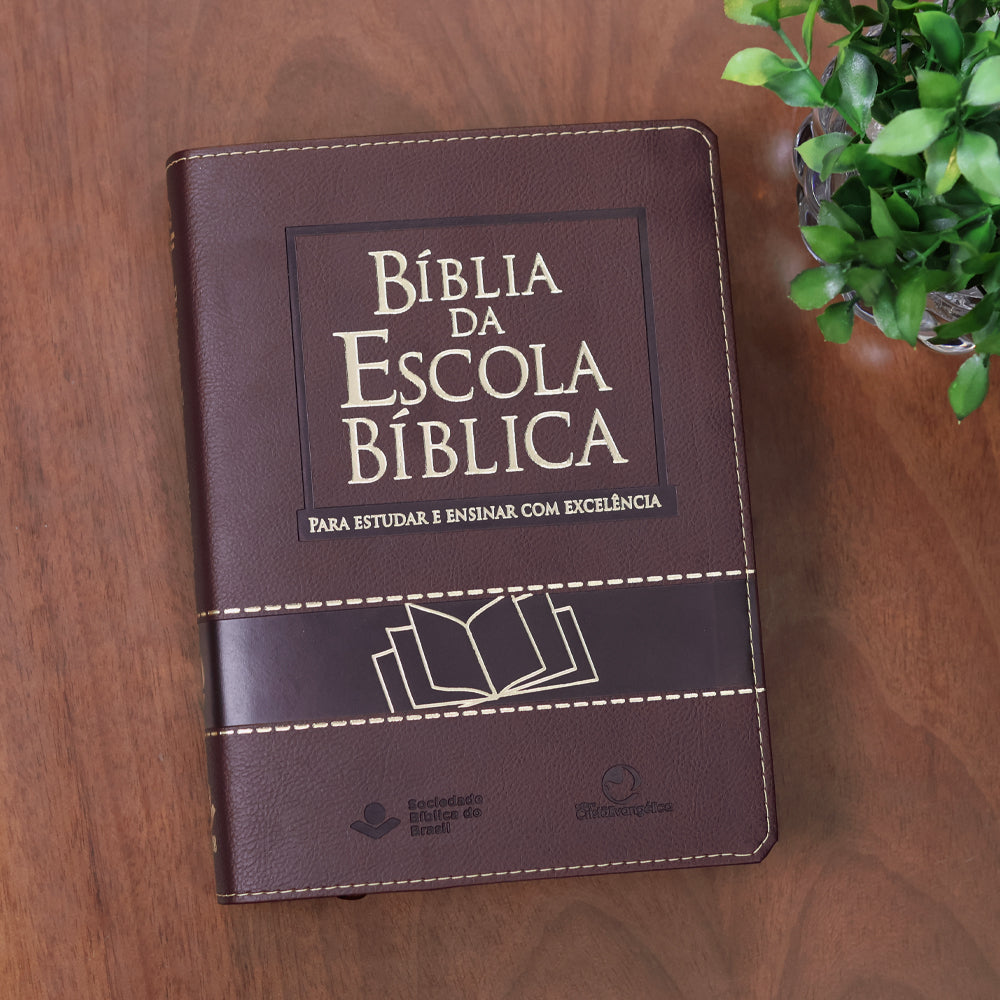 Bíblia da Escola Bíblica | NAA | Letra Normal |  Capa Vinho