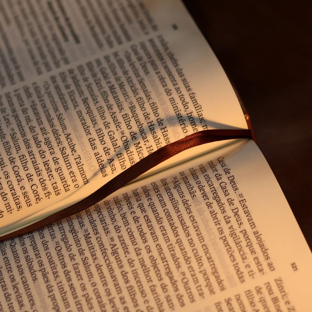 Bíblia Sagrada | NAA | Letra Gigante | Marrom | Editora Vida