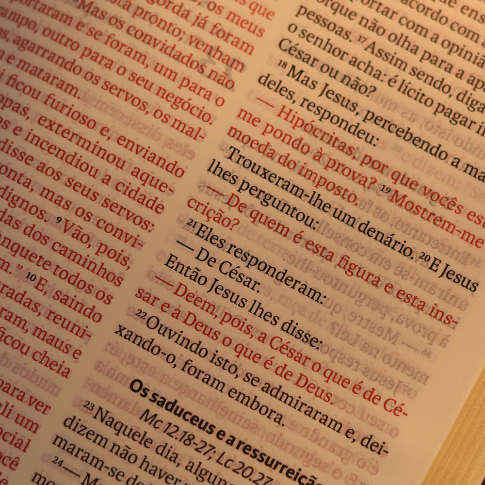 Bíblia Sagrada | NAA | Letra Gigante | Marrom | Editora Vida