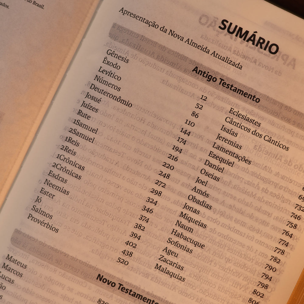 Bíblia Sagrada Slim | NAA | Marrom | Editora Vida