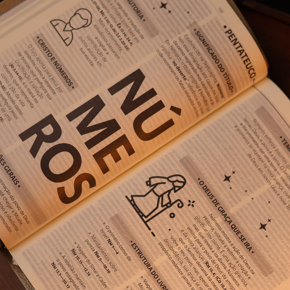 Bíblia Sagrada Slim | NAA | Marrom | Editora Vida