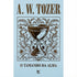 Livro "O Tamanho da Alma" de A. W. Tozer, capa dura azul claro com cálice e arabescos. — Plenitude