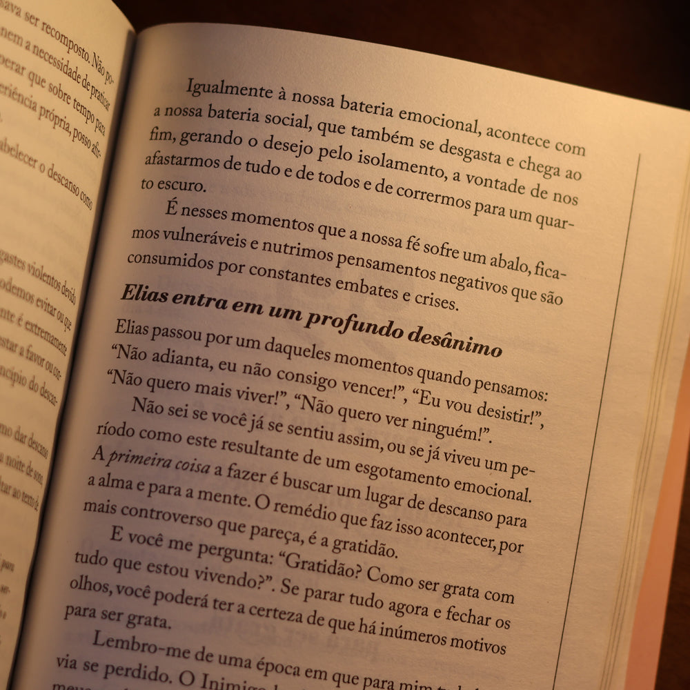 Mulheres Improváveis - Viviane Martinello