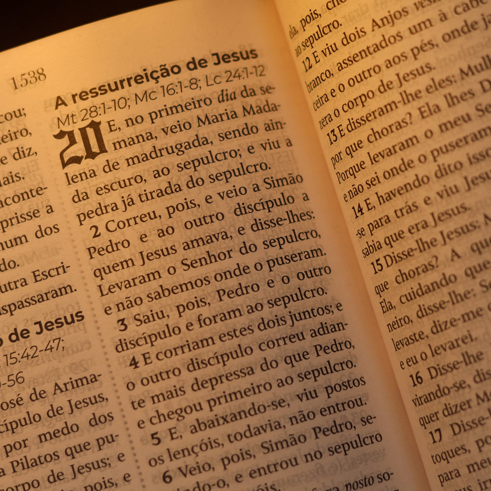 Bíblia Sagrada João Ferreira de Almeida | JFA 1819 | Standard | Letra Grande | Capa Luxo Marrom