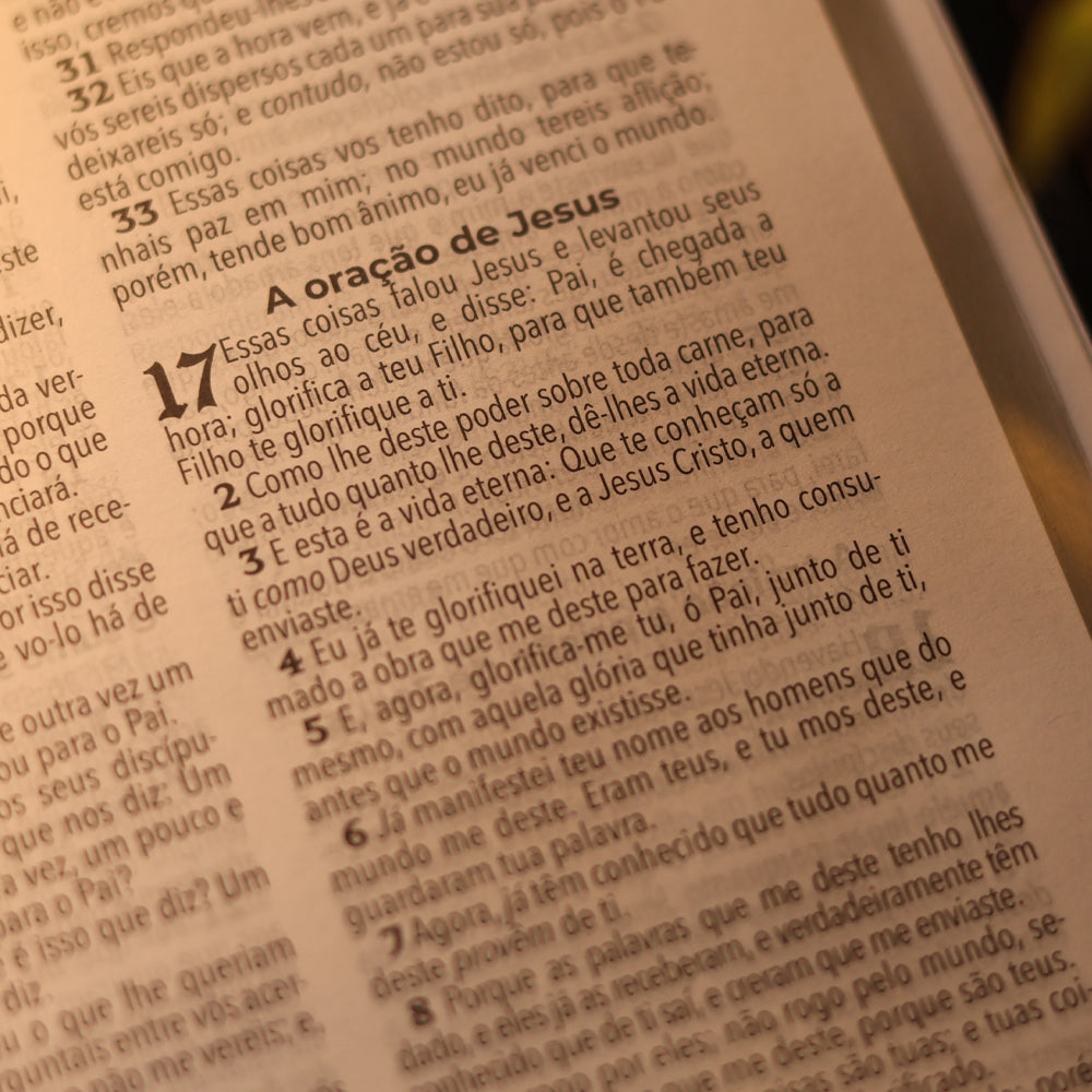 Bíblia Sagrada João Ferreira de Almeida | JFA 1819 | Ultrafina | Letra Normal | Capa Luxo Preta