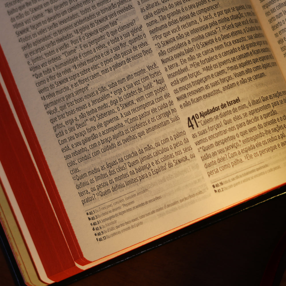 Bíblia JesusCopy Lettering | NVI | Capa Dura