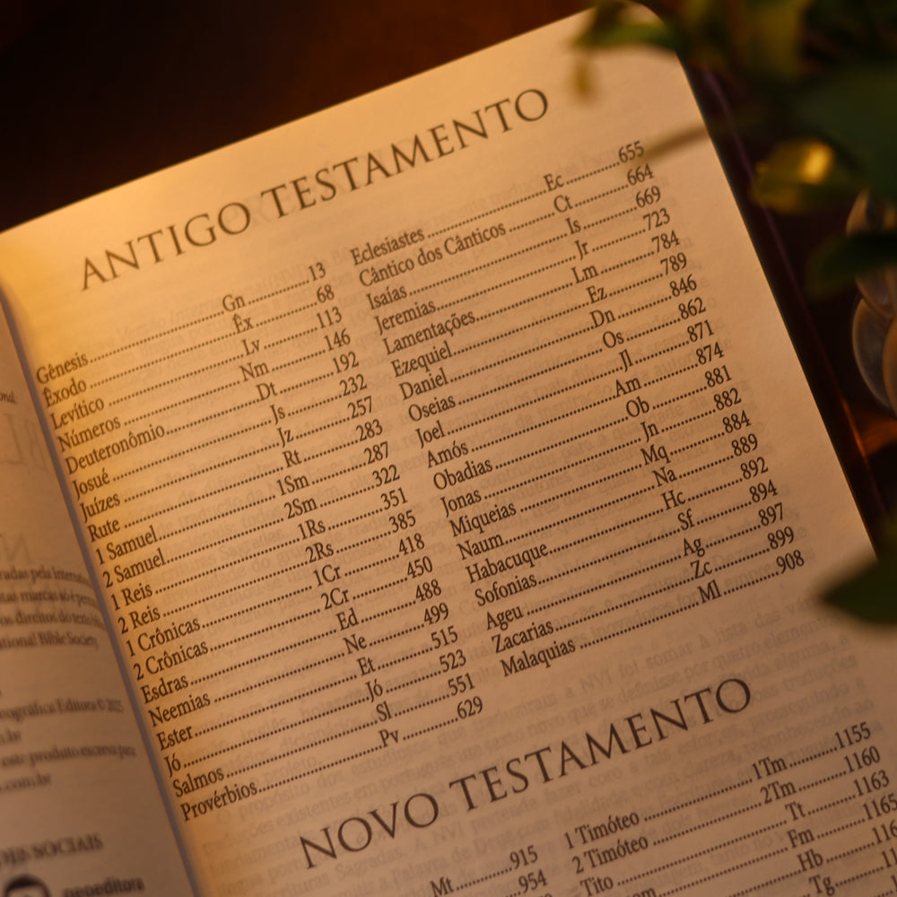 Bíblia Jesus Copy | NVI | Letra Grande | Capa Luxo Marrom