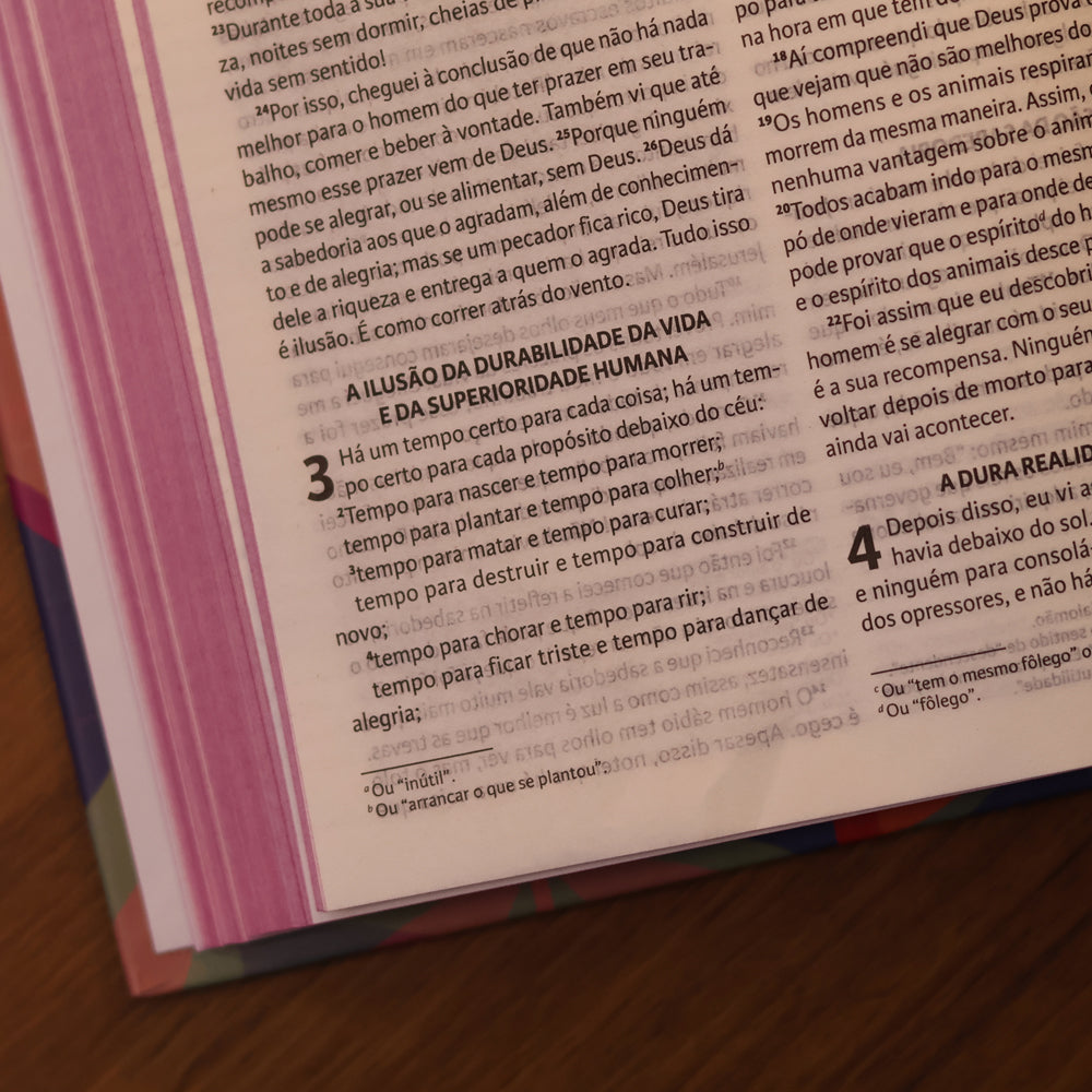 Nova Bíblia | Viva | Plenitude de Deus | Capa Dura