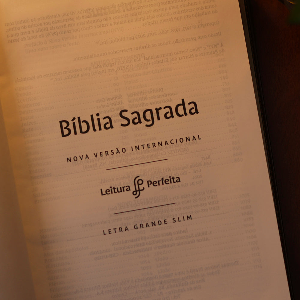Bíblia Sagrada Slim | NVI | Letra Grande | Couro Soft Marrom Barroca