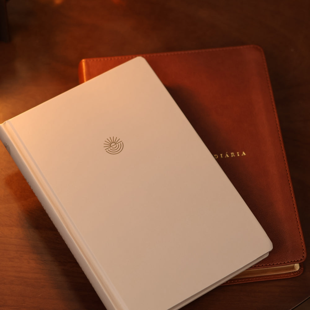 Bíblia Diária Marrom | NVI | Leitura Perfeita | Couro Soft