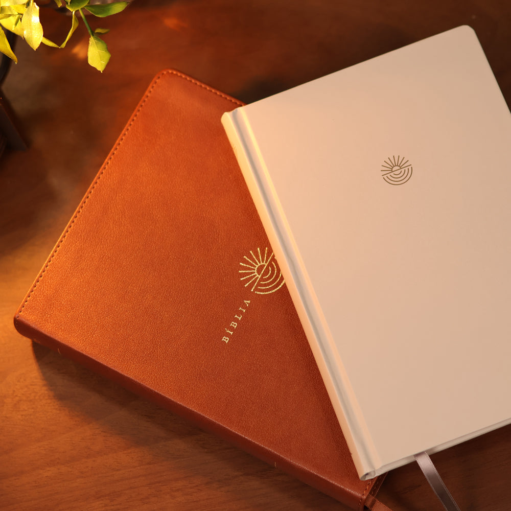 Bíblia Diária Marrom | NVI | Leitura Perfeita | Couro Soft