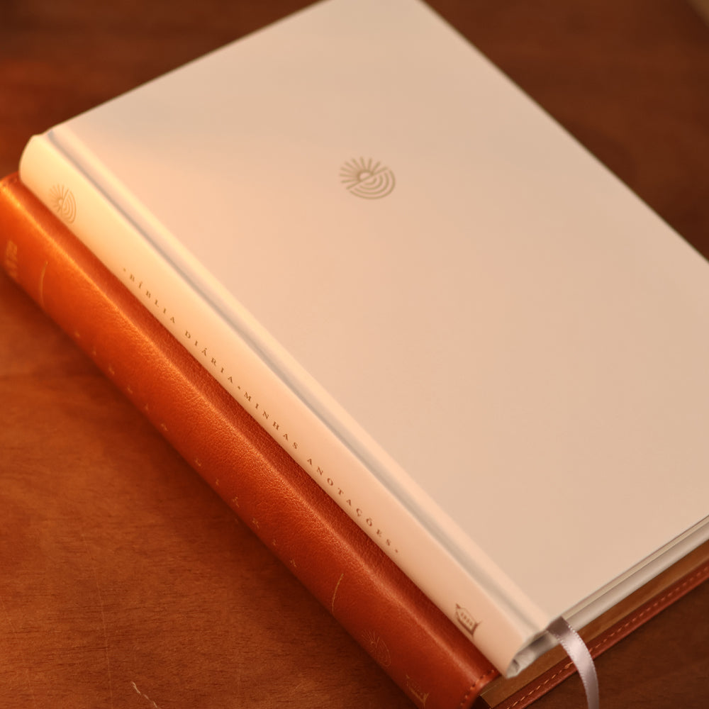 Bíblia Diária Marrom | NVI | Leitura Perfeita | Couro Soft