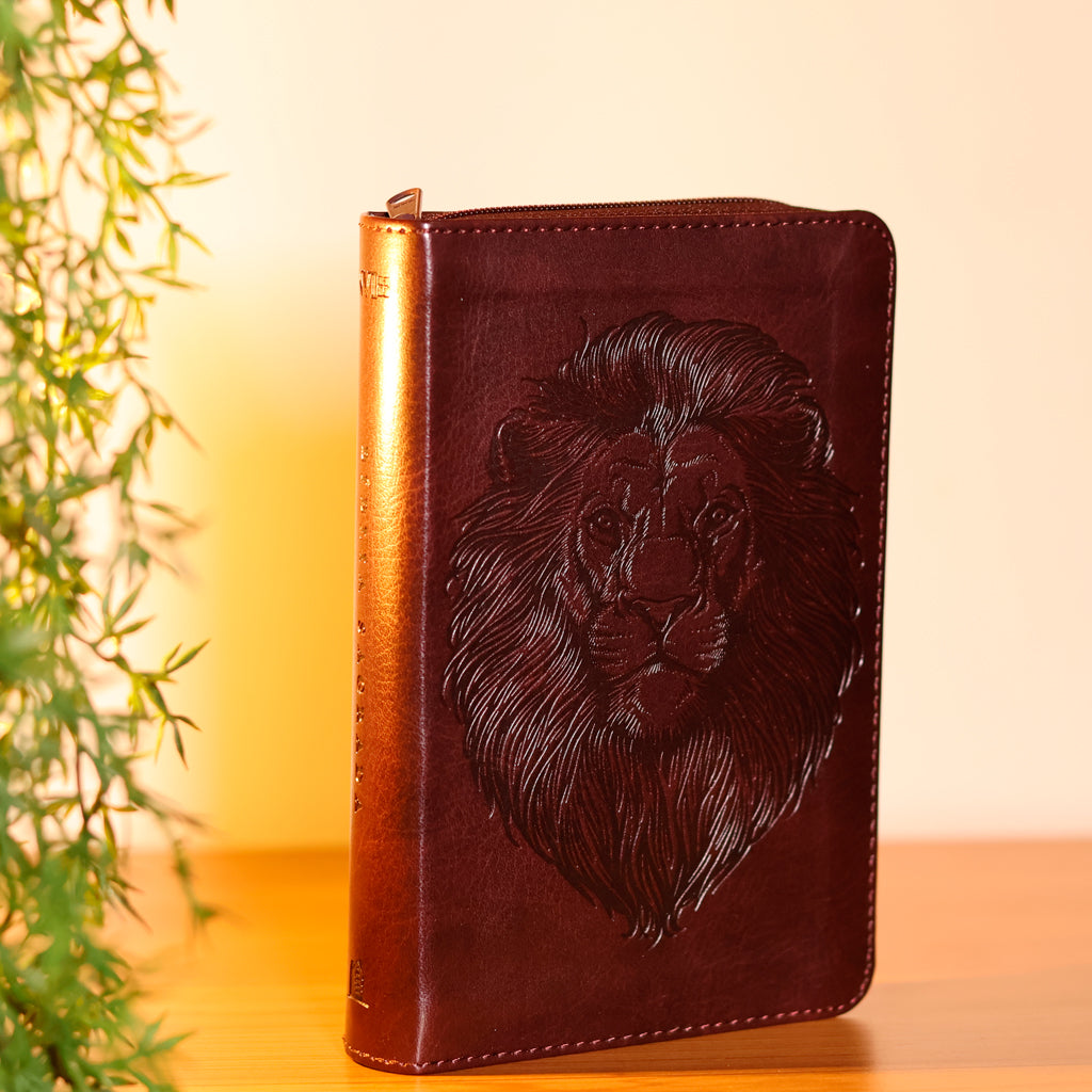 Bíblia Pocket | NVI | Leitura Perfeita | Com Zíper | Capa Luxo Marrom