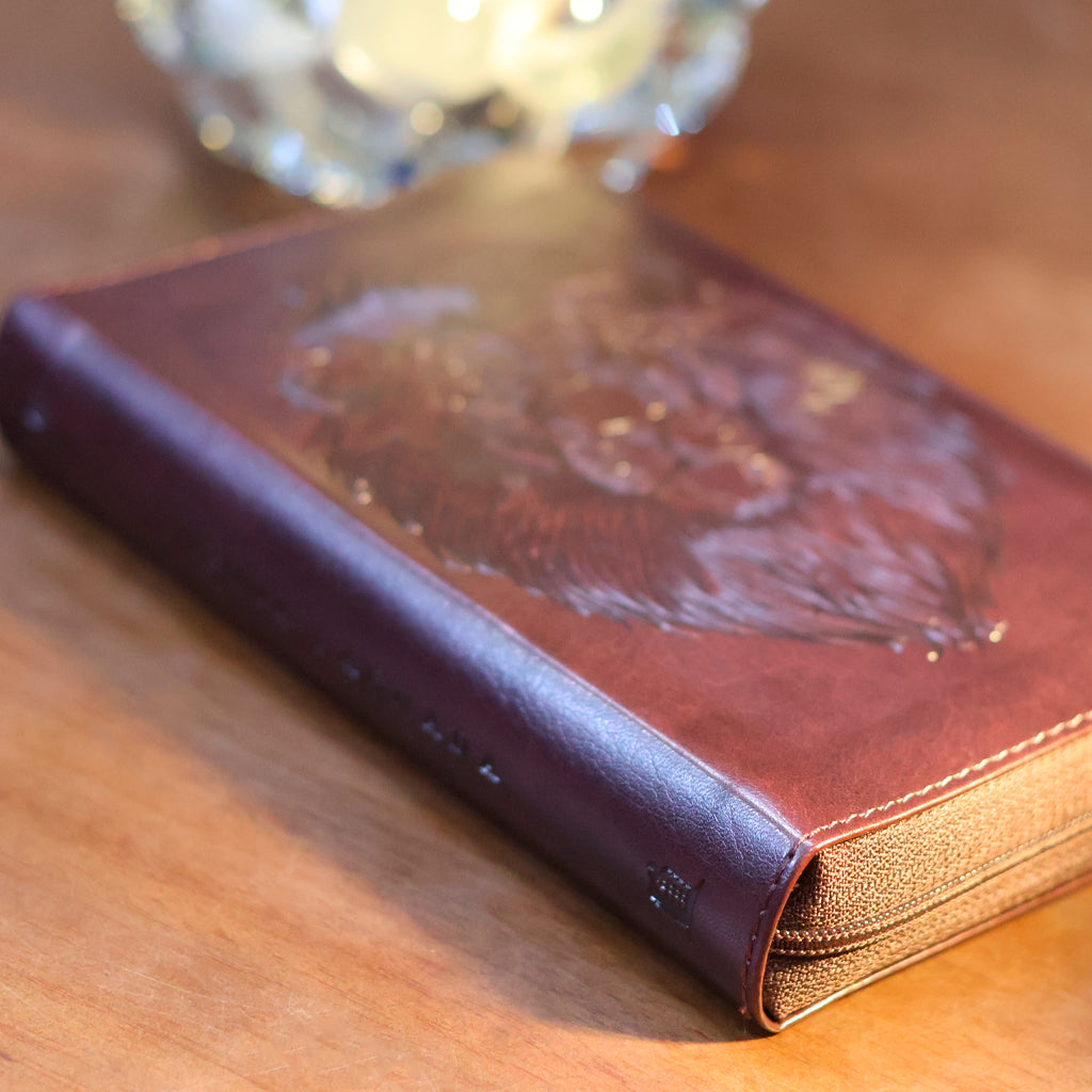 Bíblia Pocket | NVI | Leitura Perfeita | Com Zíper | Capa Luxo Marrom