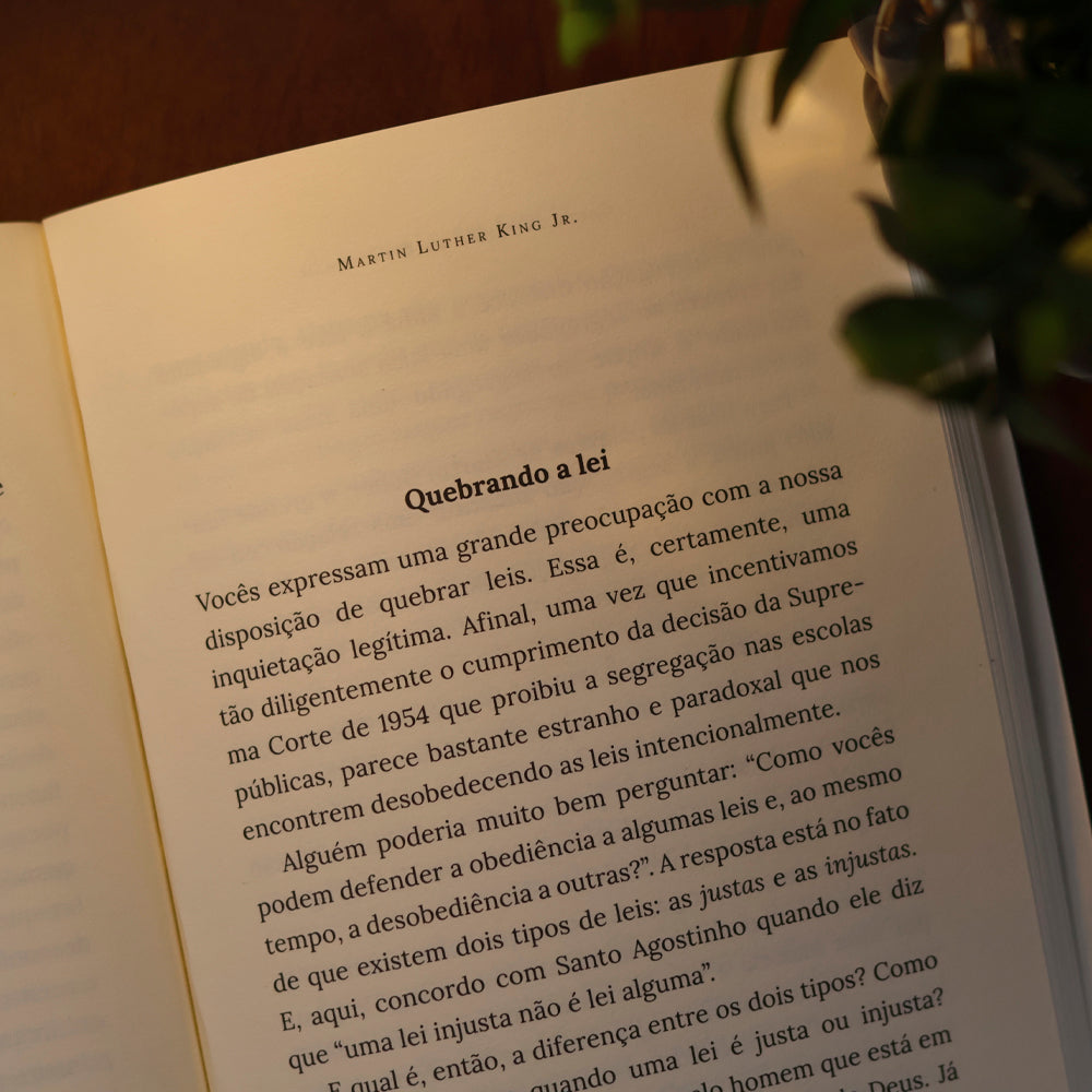 Carta da Prisão de Birmingham | Martin Luther King