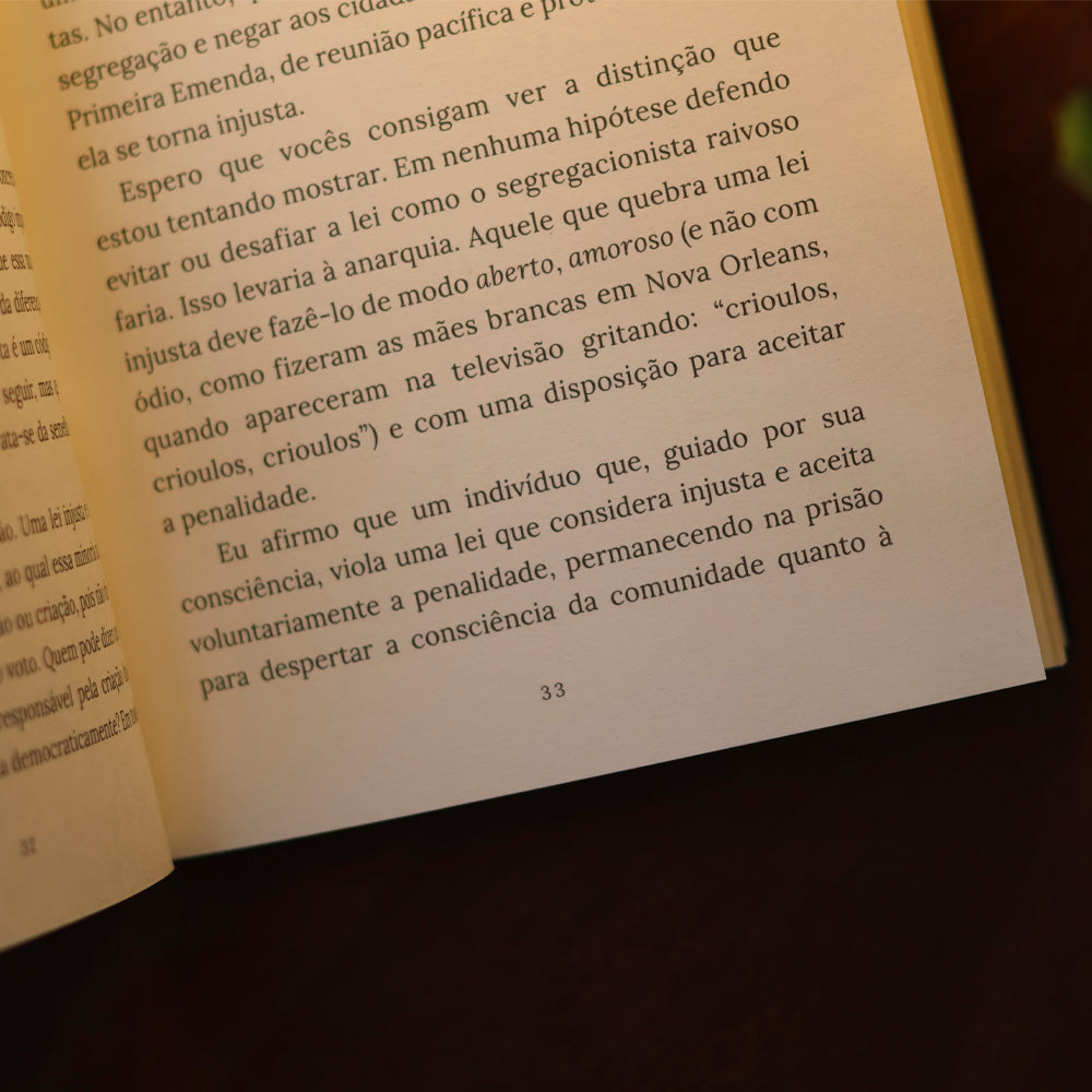 Carta da Prisão de Birmingham | Martin Luther King