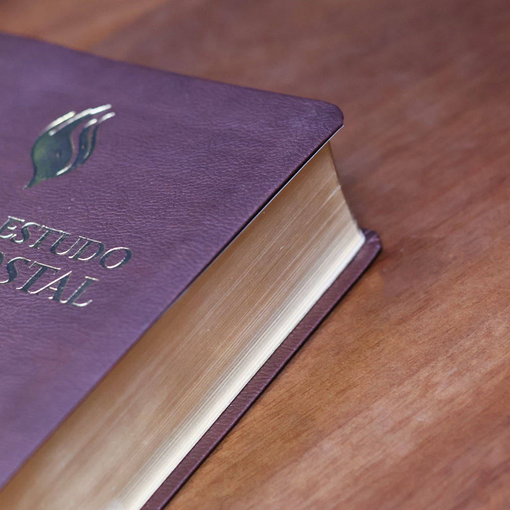 Bíblia de Estudo Pentecostal | Edição Global | ARC | Letra Grande | Capa Luxo Vinho