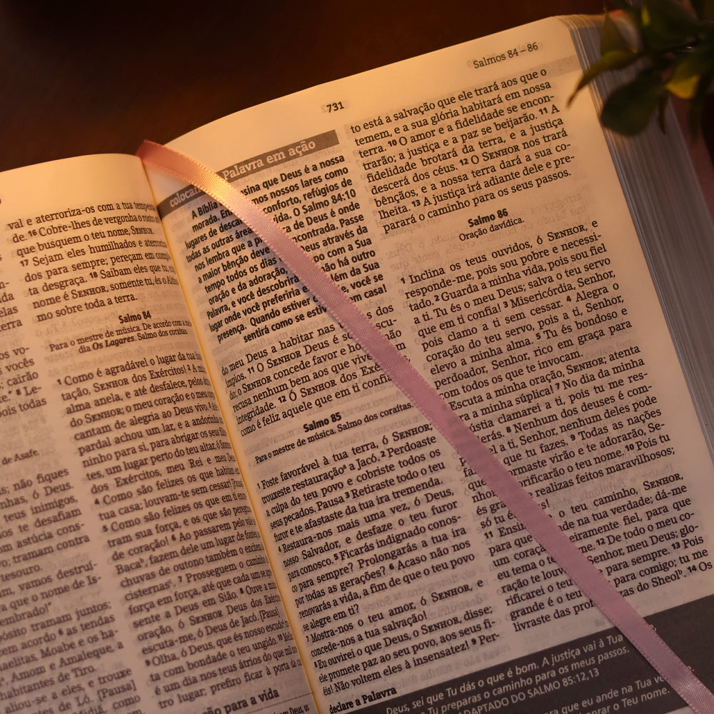 Bíblia De Estudo Joyce Meyer | NVI | Letra Grande | Capa Rosa