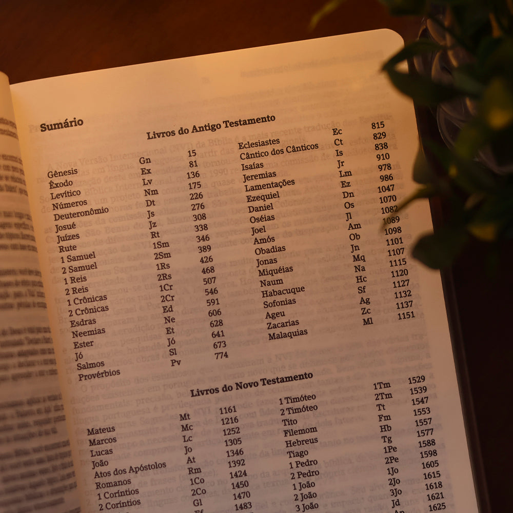 Bíblia De Estudo Joyce Meyer | NVI | Letra Grande | Capa Rosa