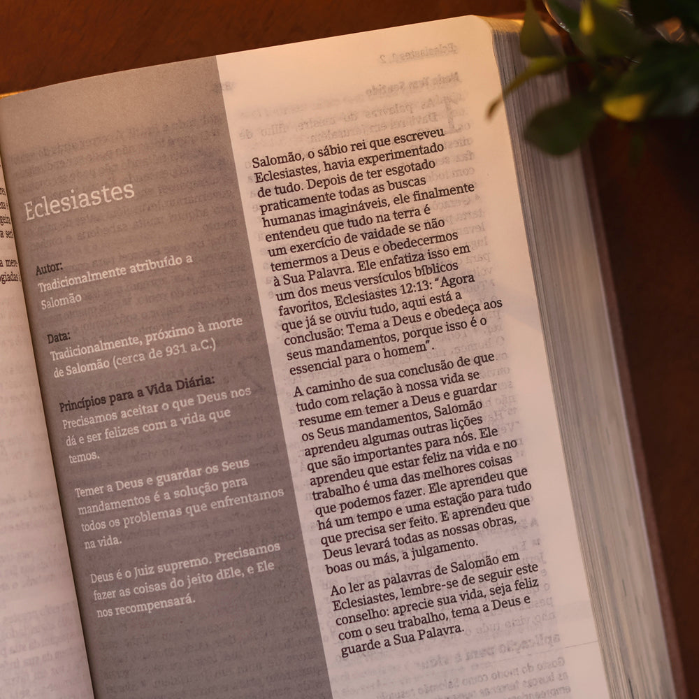 Bíblia De Estudo Joyce Meyer | NVI | Letra Grande | Capa Rosa