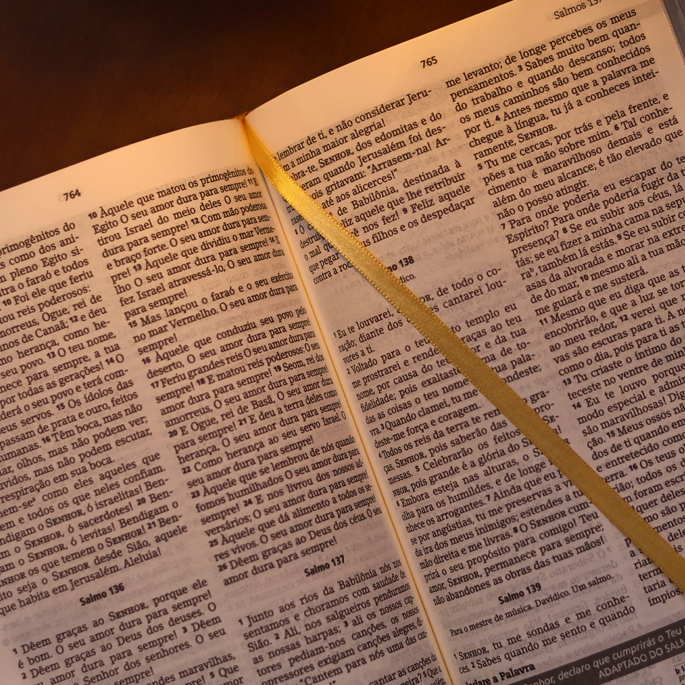Bíblia De Estudo Joyce Meyer | NVI | Letra Grande | Capa Dourada