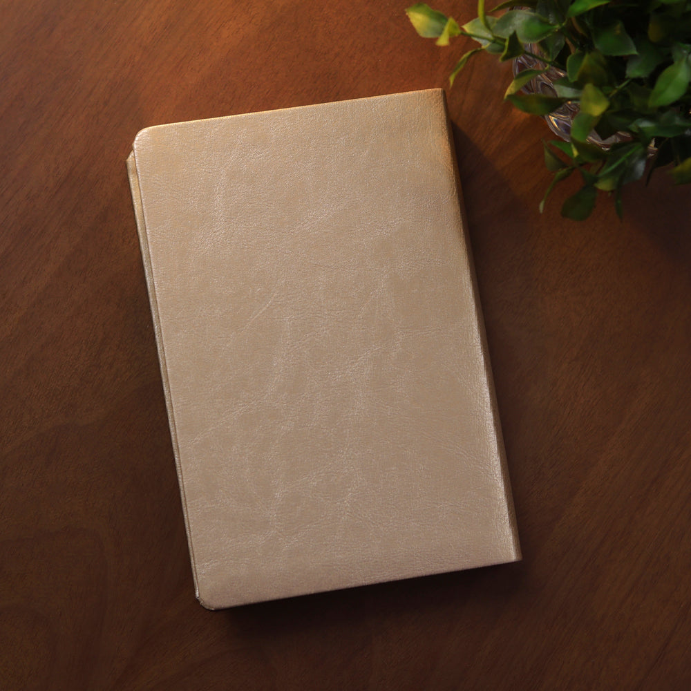Bíblia De Estudo Joyce Meyer | NVI | Letra Grande | Capa Dourada