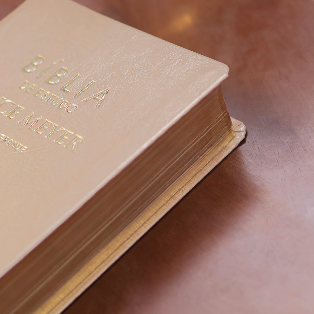 Bíblia De Estudo Joyce Meyer | NVI | Letra Grande | Capa Dourada