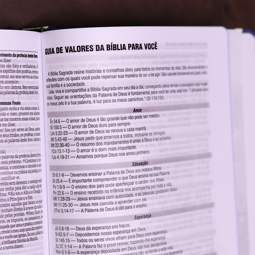 Bíblia Sagrada Grande Deus| NAA | Letra Grande | Capa Dura Jornada