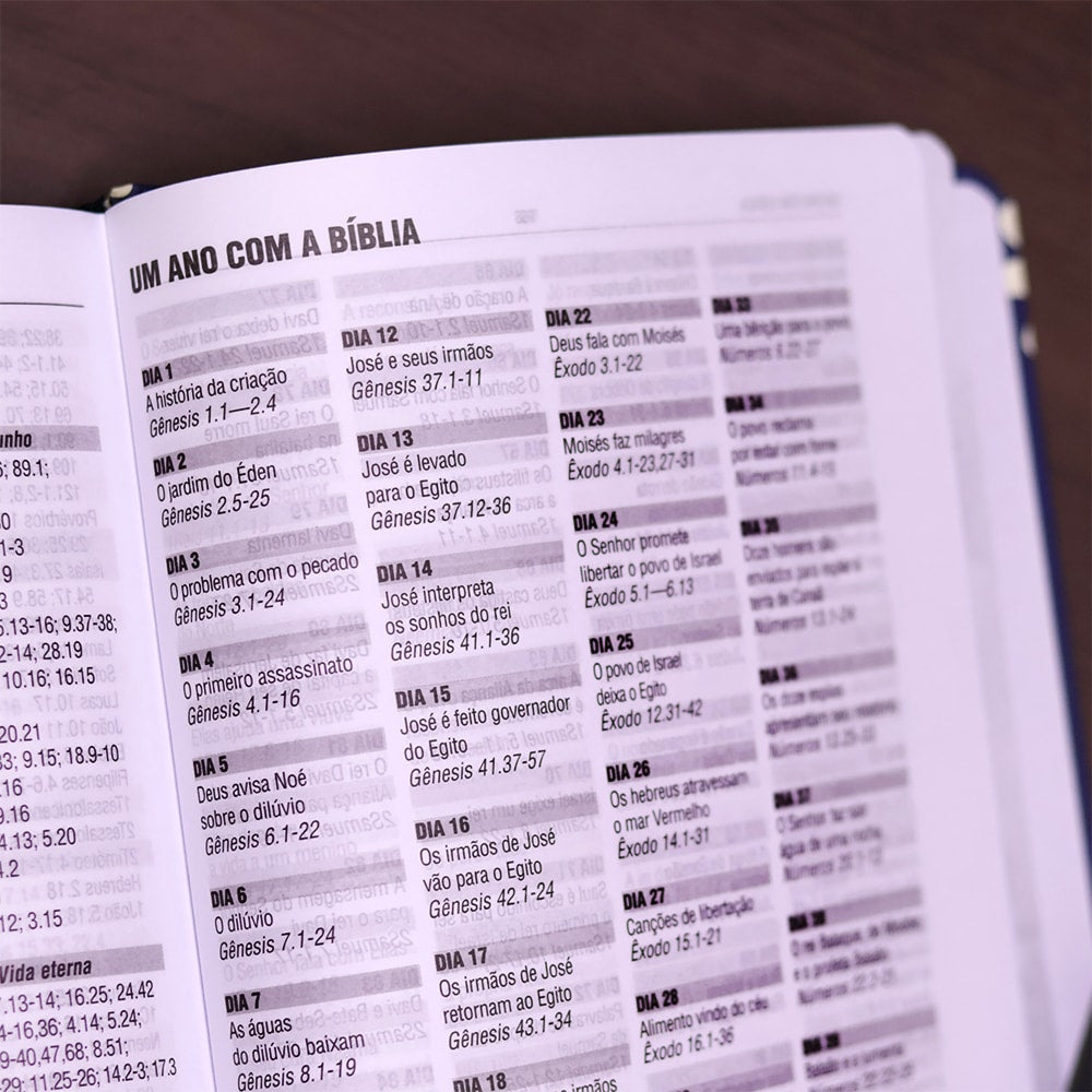 Bíblia Sagrada Grande Deus| NAA | Letra Grande | Capa Dura Jornada