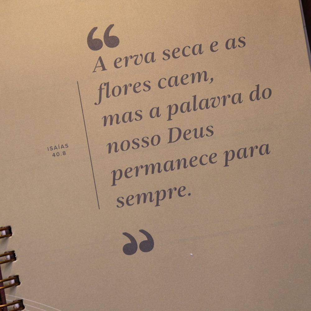 Amo a Tua Lei | Dia a Dia Com a Palavra | Soft Camel