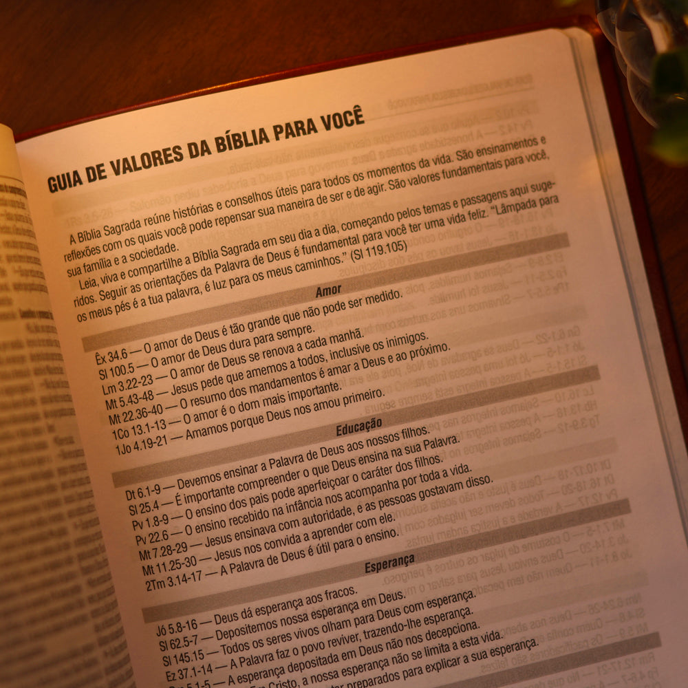 Bíblia Sagrada Virtuosa | NAA | Letra Grande | Capa Luxo Marrom