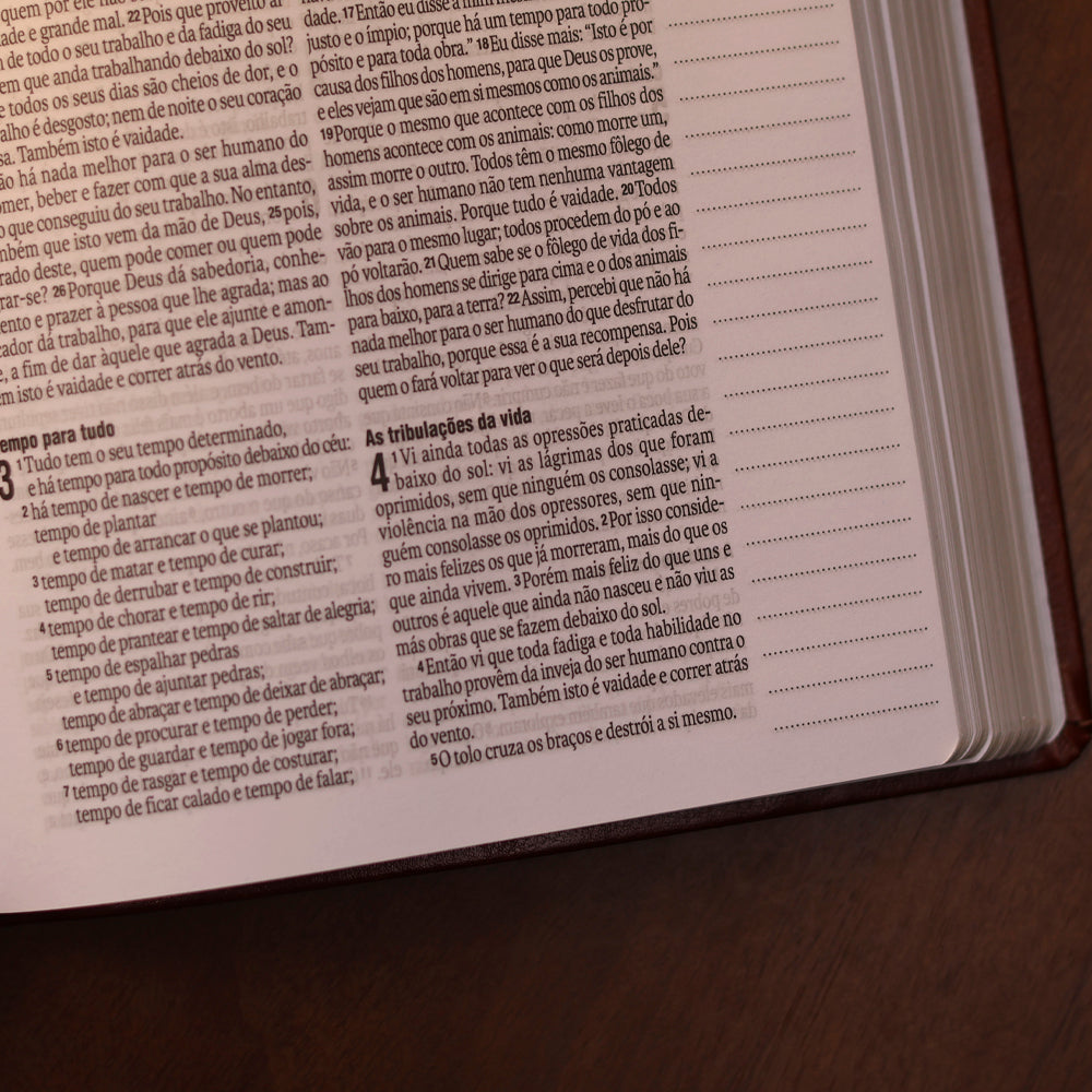 Bíblia Sagrada Virtuosa | NAA | Letra Grande | Capa Luxo Marrom