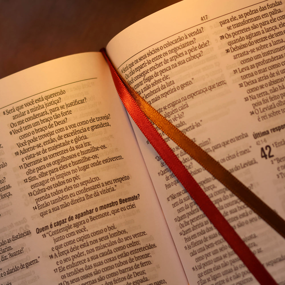 Bíblia Sagrada Virtuosa | NAA | Letra Grande | Capa Luxo Marrom