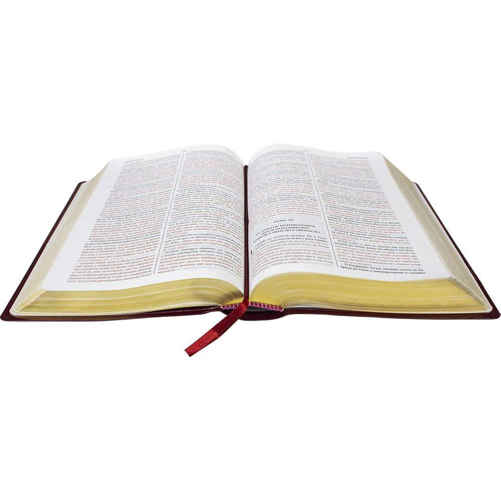 Bíblia de Estudo do Expositor | Letra Normal | NTVE | Capa Couro Vinho