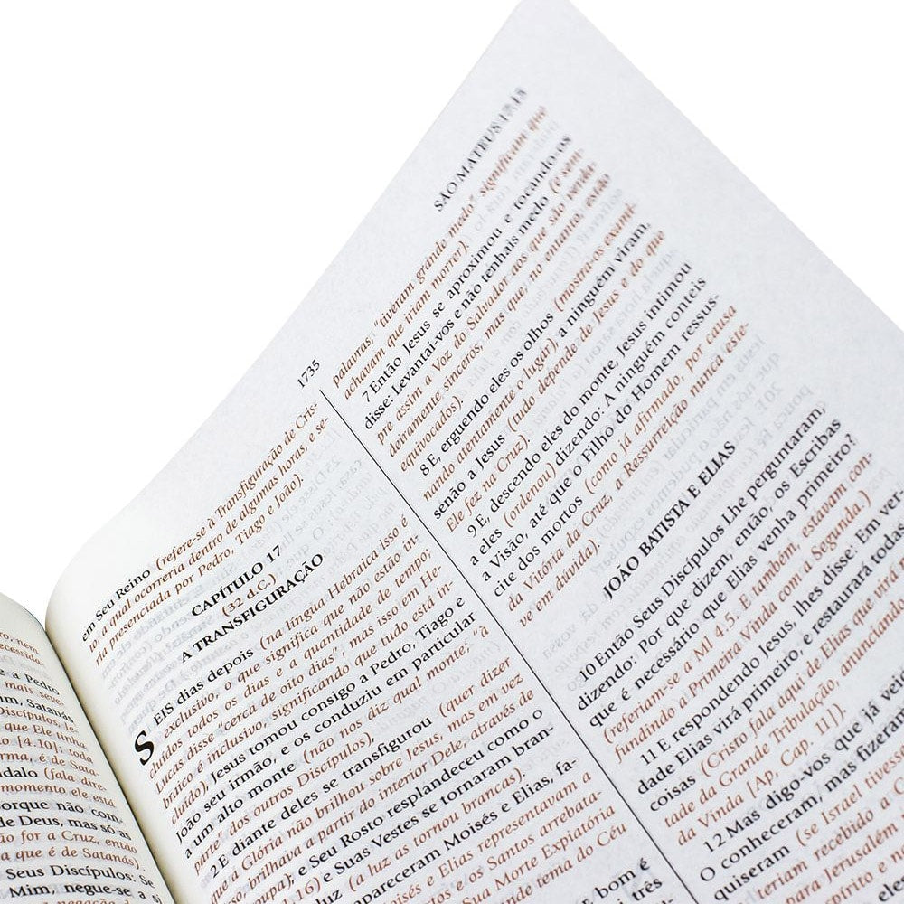 Bíblia de Estudo do Expositor | Letra Normal | NTVE | Capa Couro Vinho